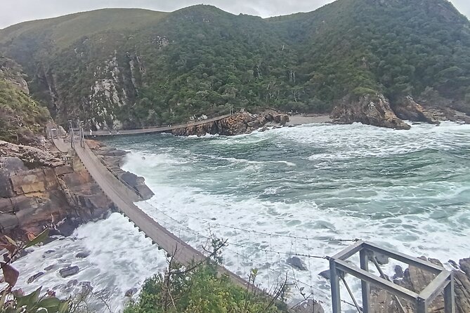 1 Day Garden Route Tour: From Port Elizabeth to the Crags - What the $236 price really covers