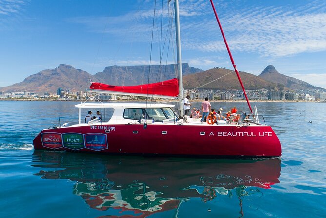 1- Hour Catamaran Cruise Cape Town - Key points to know before boarding