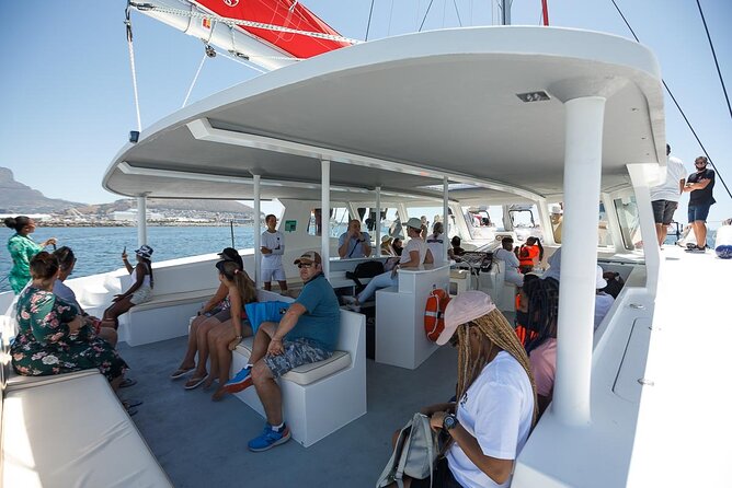 1- Hour Catamaran Cruise Cape Town - Timing, weather, and boat changes