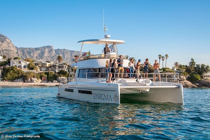 1 Hour Coastal Catamaran Cruise from Cape Town - Wildlife sightings are a welcome bonus