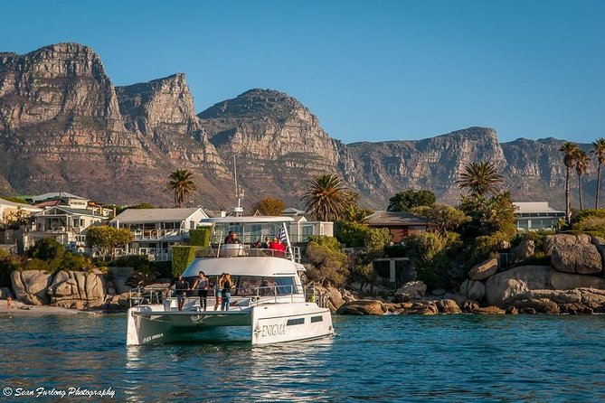 1 Hour Coastal Catamaran Cruise from Cape Town - Crew, music, drinks, and the overall mood