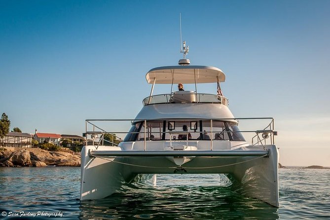 1 Hour Coastal Catamaran Cruise from Cape Town - Is $21.28 good value for one hour?