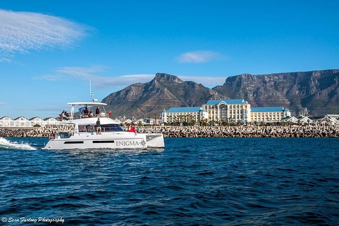 1 Hour Coastal Catamaran Cruise from Cape Town - Boat assignment and booking expectations