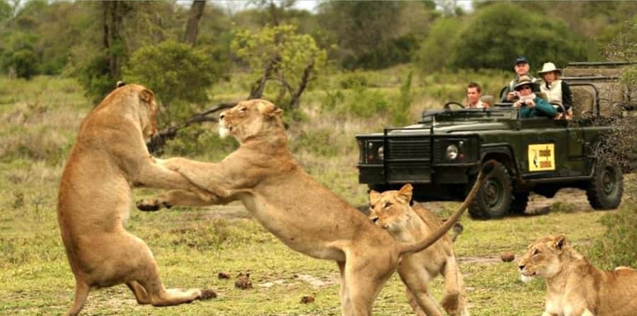 10 Day South Africa Tour Joburg to Cape Town - Durban: two nights for a change of pace