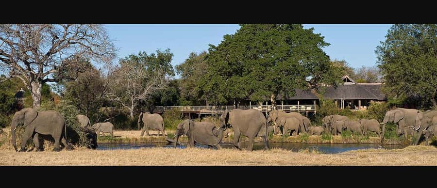 10 Day South Africa Tour Joburg to Cape Town - Drakensberg: the trip’s best walking day