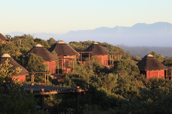 2 Day Safari Experience from Cape Town - Cape Agulhas and the southern tip of Africa