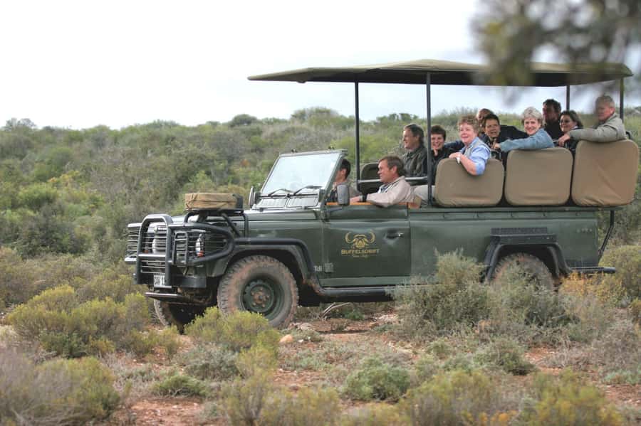 2 Day Small Group Cape Town: Garden Route Big 5 Safari Tour - What the $1,908 price really covers