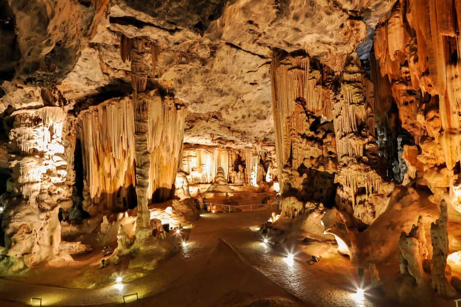 2 Day Small Group Cape Town: Garden Route Big 5 Safari Tour - Afternoon at Buffelsdrift Game Reserve