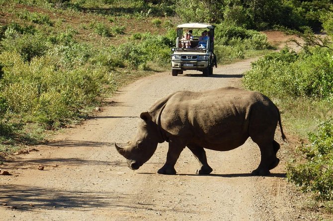 2 Day South African Wildlife Tour with 4x4 Safari from Cape Town - Day one: from Table Mountain to Botlierskop