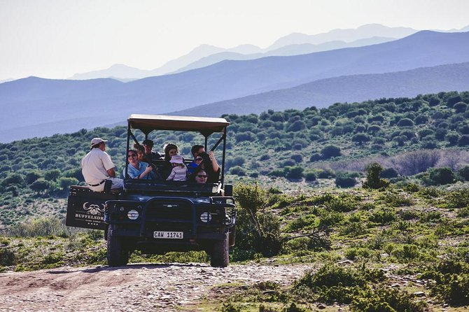 2 Day South African Wildlife Tour with 4x4 Safari from Cape Town - Guides, vehicles, and group size