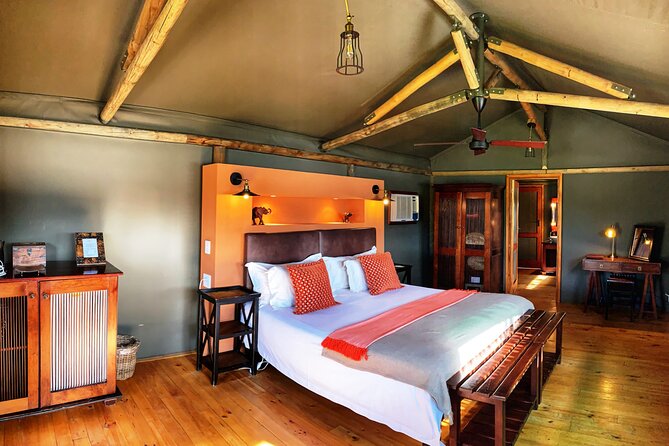2 Day South African Wildlife Tour with 4x4 Safari from Cape Town - Oudtshoorn after dark: a short but useful stop