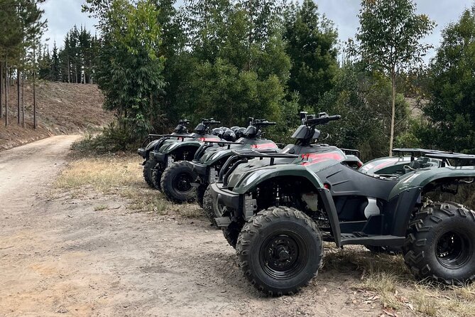 2-Hour Quad Biking Guided Excursion Through the Knysna Forests - Getting comfortable on the quad bike
