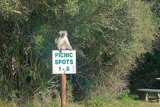2hr Guided Game Drive at 10h00; Kragga Kamma Game Park Ticket - The transport problem you should plan around