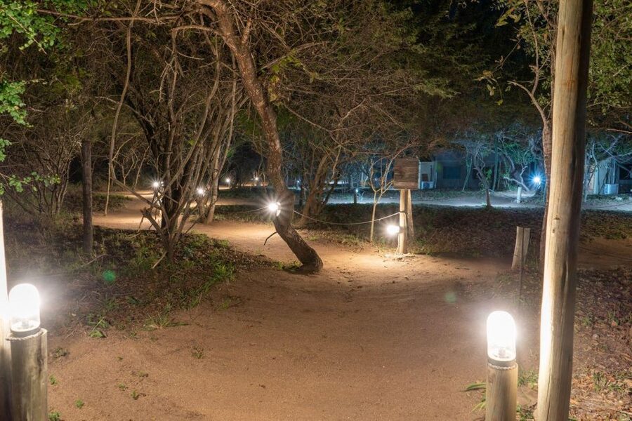 3 Day Dumela Tented Camp Safari - Why this short safari works