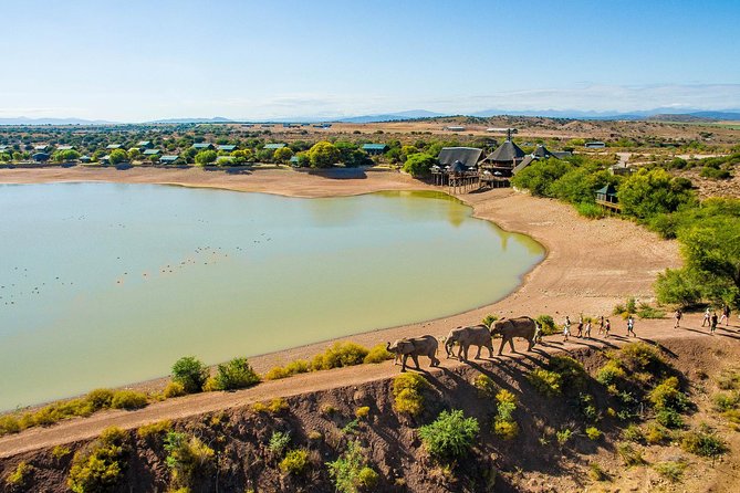 3 Day Garden Route's Best Highlights with Safari from Cape Town - Day three: a 4x4 safari before the long ride back