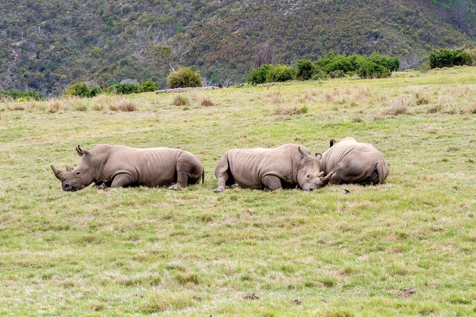 3 Day Garden Route's Best Highlights with Safari from Cape Town - What the price includes, and where extra costs appear