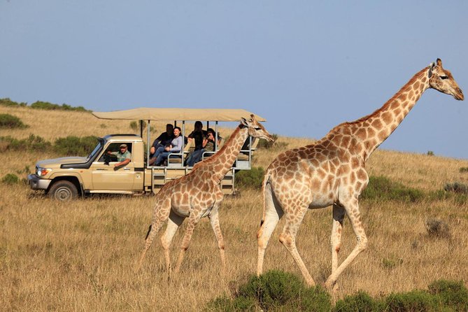 3 Day Garden Route's Best Highlights with Safari from Cape Town - Guides make the road time worthwhile