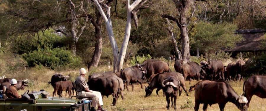 3 Day Hluhluwe & Isimangaliso Wetlands Pk Tour from Durban - Key points to know before booking