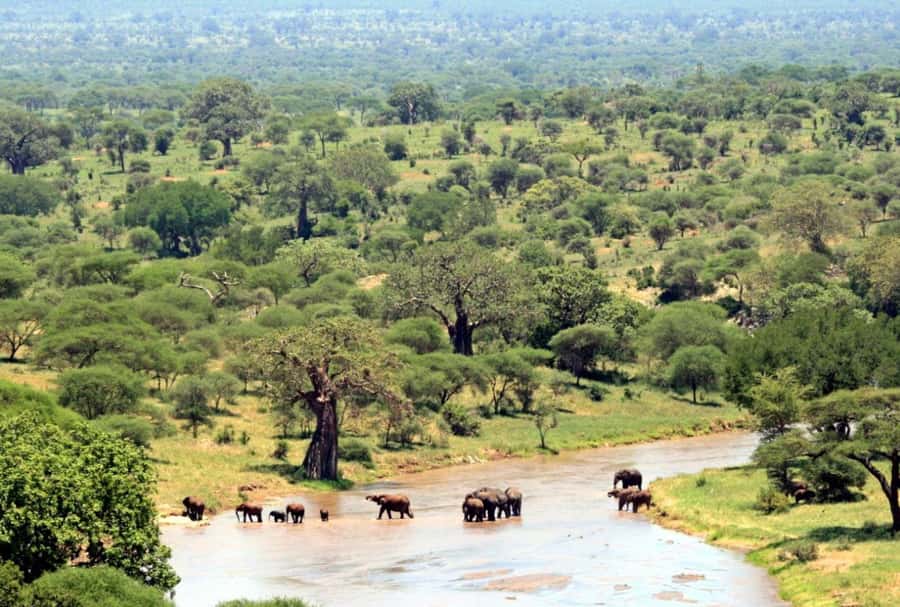3 Day Hluhluwe & Isimangaliso Wetlands Pk Tour from Durban - Who should book this three-day trip?