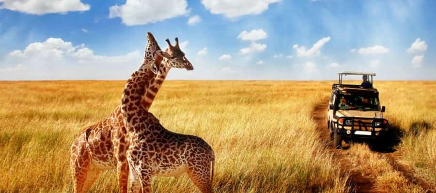 3 Day Hluhluwe & Isimangaliso Wetlands Pk Tour from Durban - What the $840 price includes