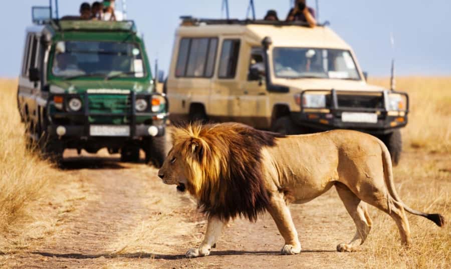 3 Day Hluhluwe & Isimangaliso Wetlands Pk Tour from Durban - Group size, transport, and daily comfort