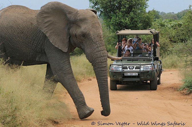 3-Day Kruger National Park Open Vehicle Safari - The Johannesburg departure and road to Kruger