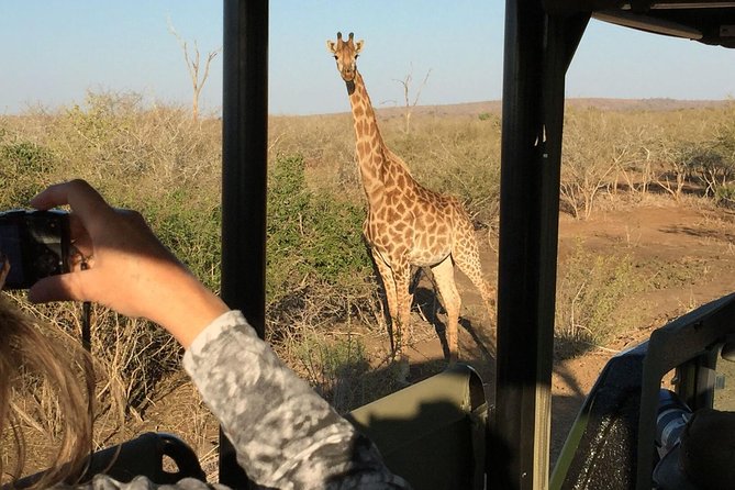 3-Day Kruger National Park Open Vehicle Safari - Day one: the first afternoon inside Kruger
