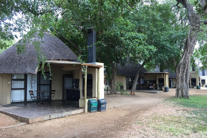 3-Day Kruger National Park Open Vehicle Safari - Day three: one last chance, then Johannesburg