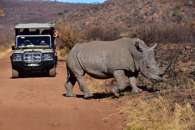 3-Hour Private Game Drive of Pilanesberg National Park - What you may see during the three hours