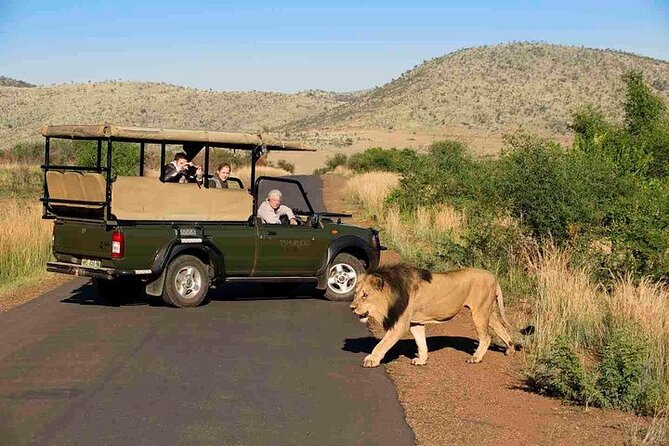 3-Hour Scheduled Safari Game Drive in Pilanesberg National Park - Guides make the difference at animal sightings