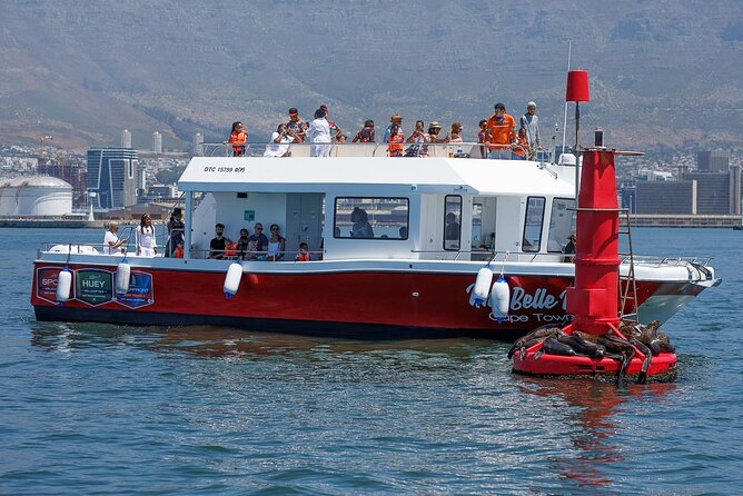 30min Harbour Boat Cruise Cape Town - Why this short Cape Town cruise works