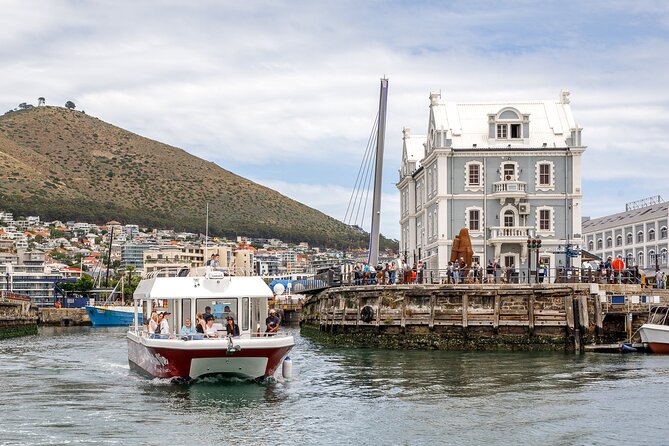 30min Harbour Boat Cruise Cape Town - What the ride feels like from inside and outside