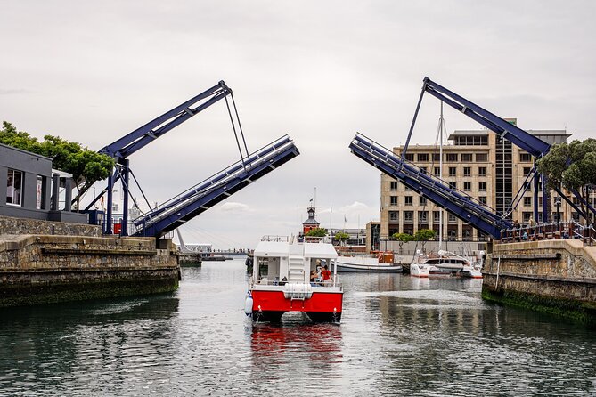 30min Harbour Boat Cruise Cape Town - Who should book it?