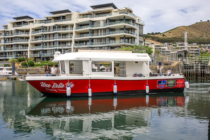 30min Harbour Boat Cruise Cape Town - Seals, ships, and the best things to watch for