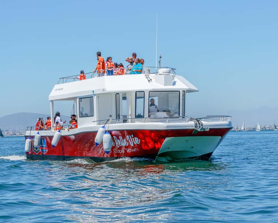 30min V&A Waterfront Harbour Cruise Cape Town - Une Belle Vie, the 47-foot double-decker catamaran