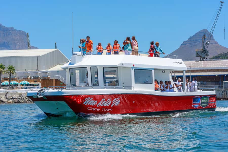 30min V&A Waterfront Harbour Cruise Cape Town - Shade, seating, and the onboard cash bar