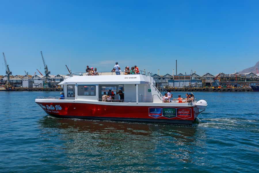 30min V&A Waterfront Harbour Cruise Cape Town - How to fit it into your Cape Town day