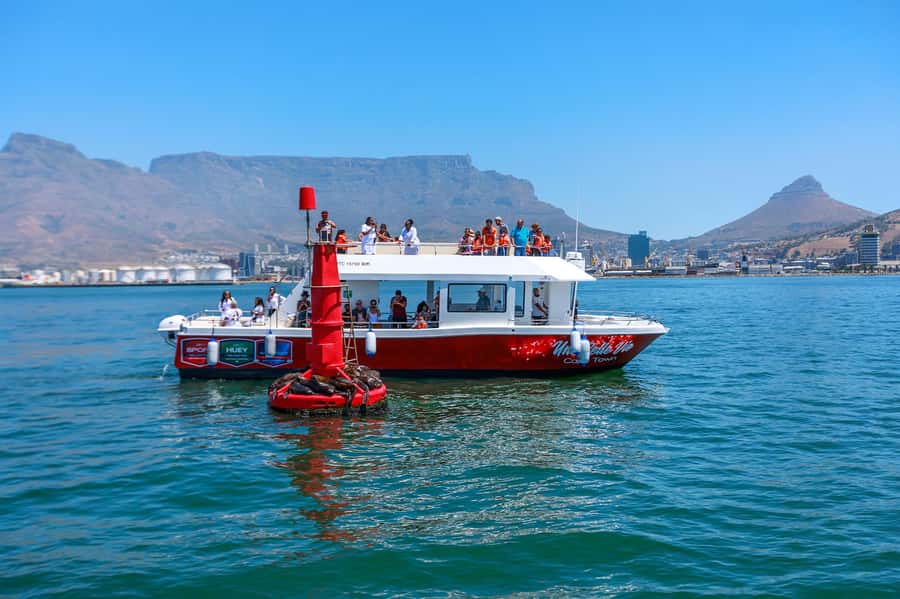 30min V&A Waterfront Harbour Cruise Cape Town - What the 30-minute route gives you