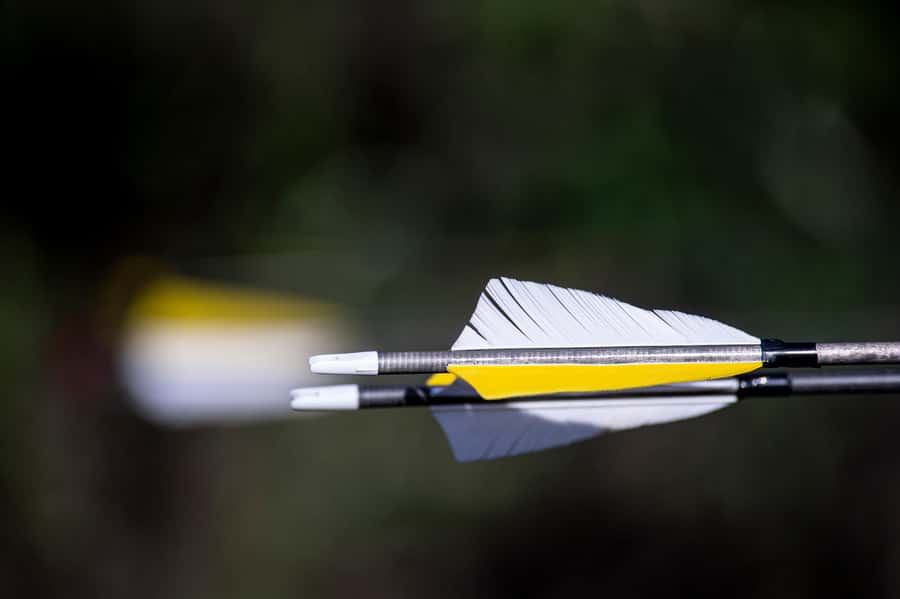 3D Archery Adventure - Plettenberg Bay - Arriving at Old School Farm in Harkerville