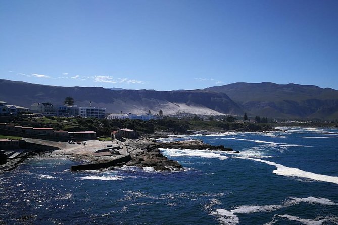 4 Day Garden Route Adventure & Safari - Who should book this trip