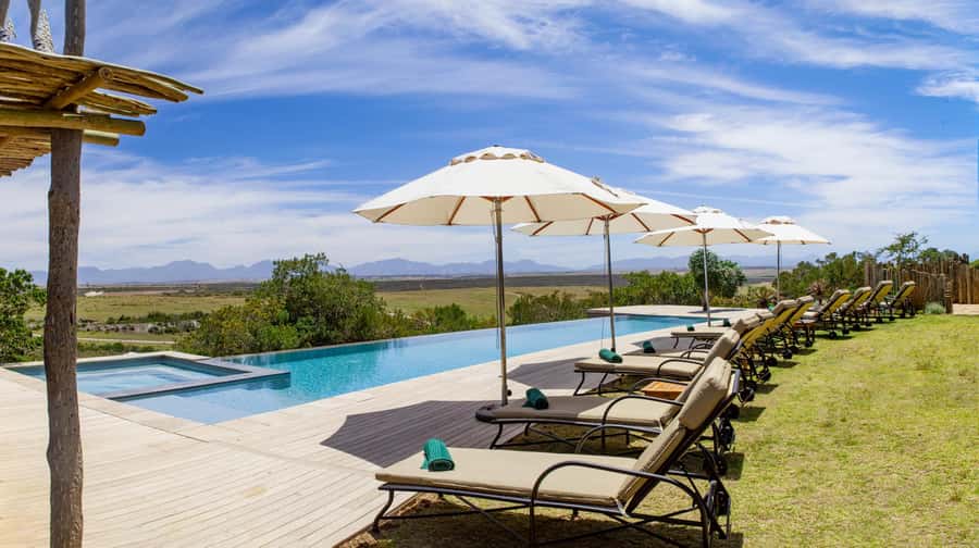 4-Day Garden Route Experience - Day 4: Morning animals, Hermanus whales, and Betty’s Bay penguins
