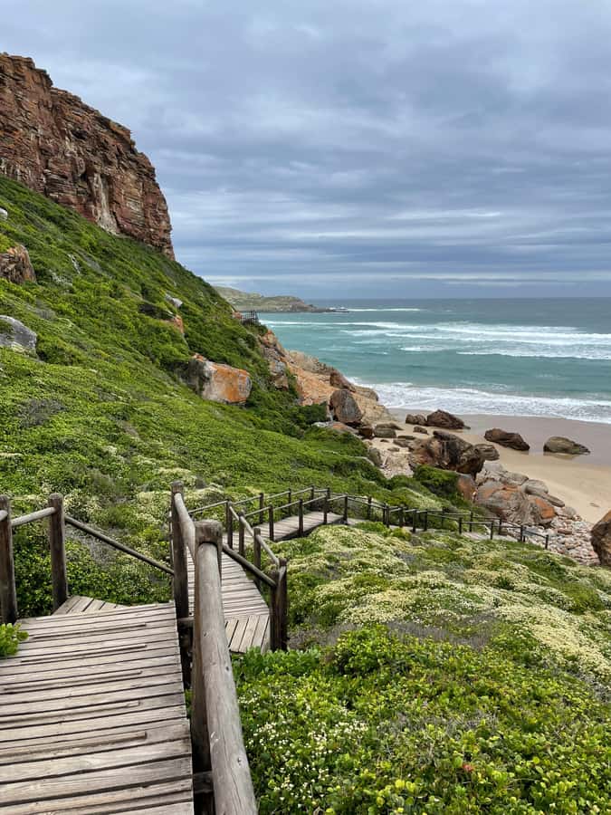 4-Day Garden Route Experience - What the accommodation choice really changes