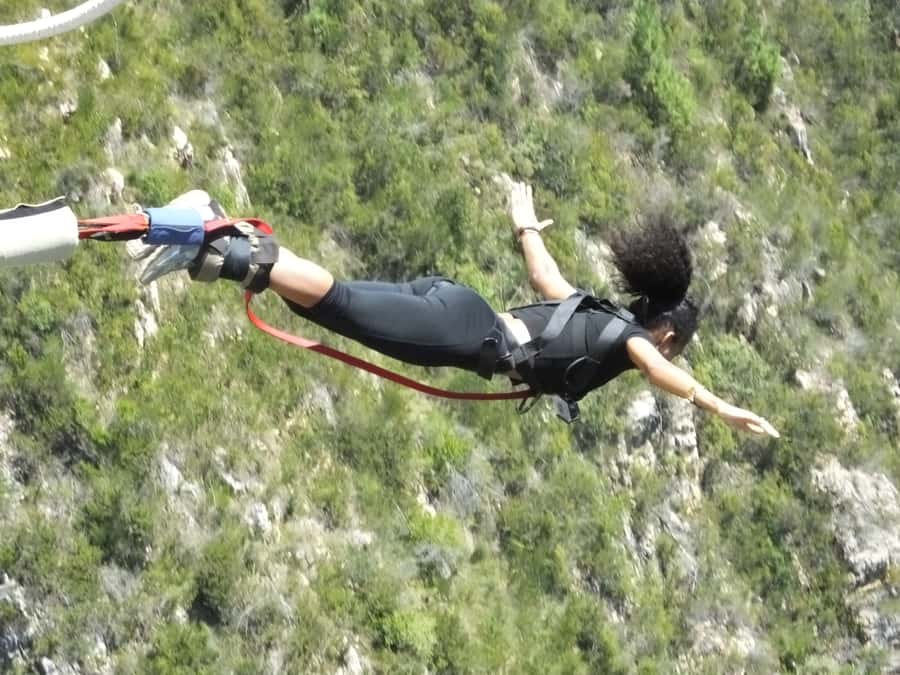 4-Day Garden Route Experience - Guide quality and time on the road