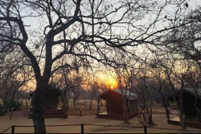 4 Day Kruger Glamping Budget Adventure