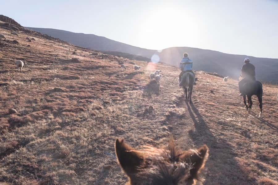 4x4 into Lesotho From Underberg - Horse Ride / Village Life - Practical preparation for Sani Pass and Lesotho