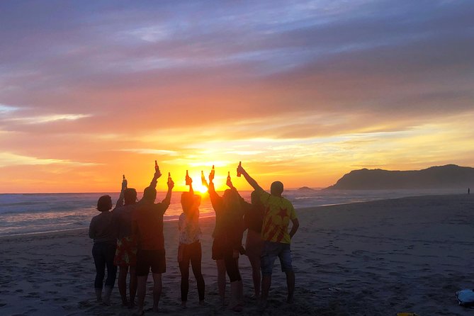 5-Day Garden Route & Addo Adventure from Cape Town to Port Elizabeth - Day 4: Tsitsikamma’s forest and suspension bridge