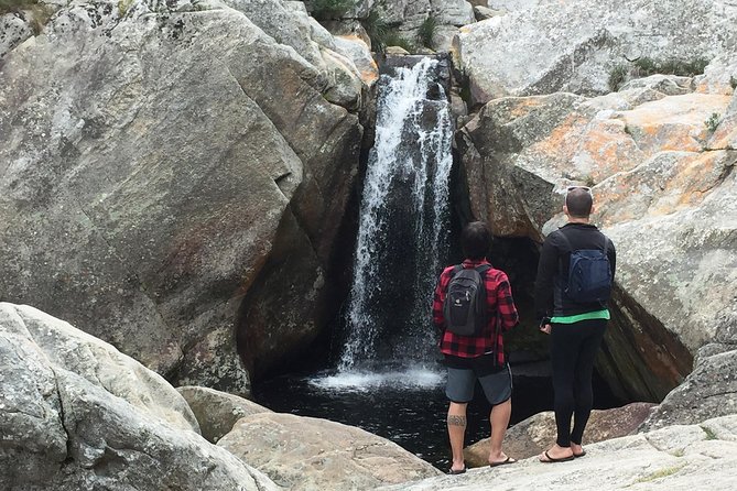 5-Day Garden Route & Addo Adventure from Cape Town to Port Elizabeth - Is the pace right for you?