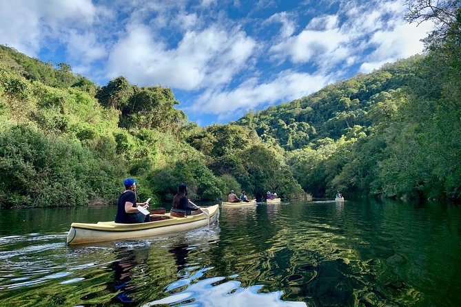 6-Day Garden Route & Addo South African Adventure from Cape Town - Cape Town to the true southern tip