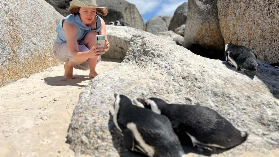 A Curious Adventure through Chapman’s Peak Drive: Cape Point - Noordhoek Farm Village for a short pause
