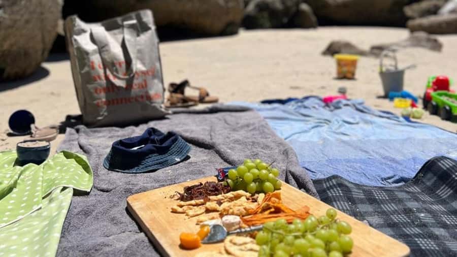 A Curious Adventure through Chapman’s Peak Drive: Cape Point - Is the $145 price good value?